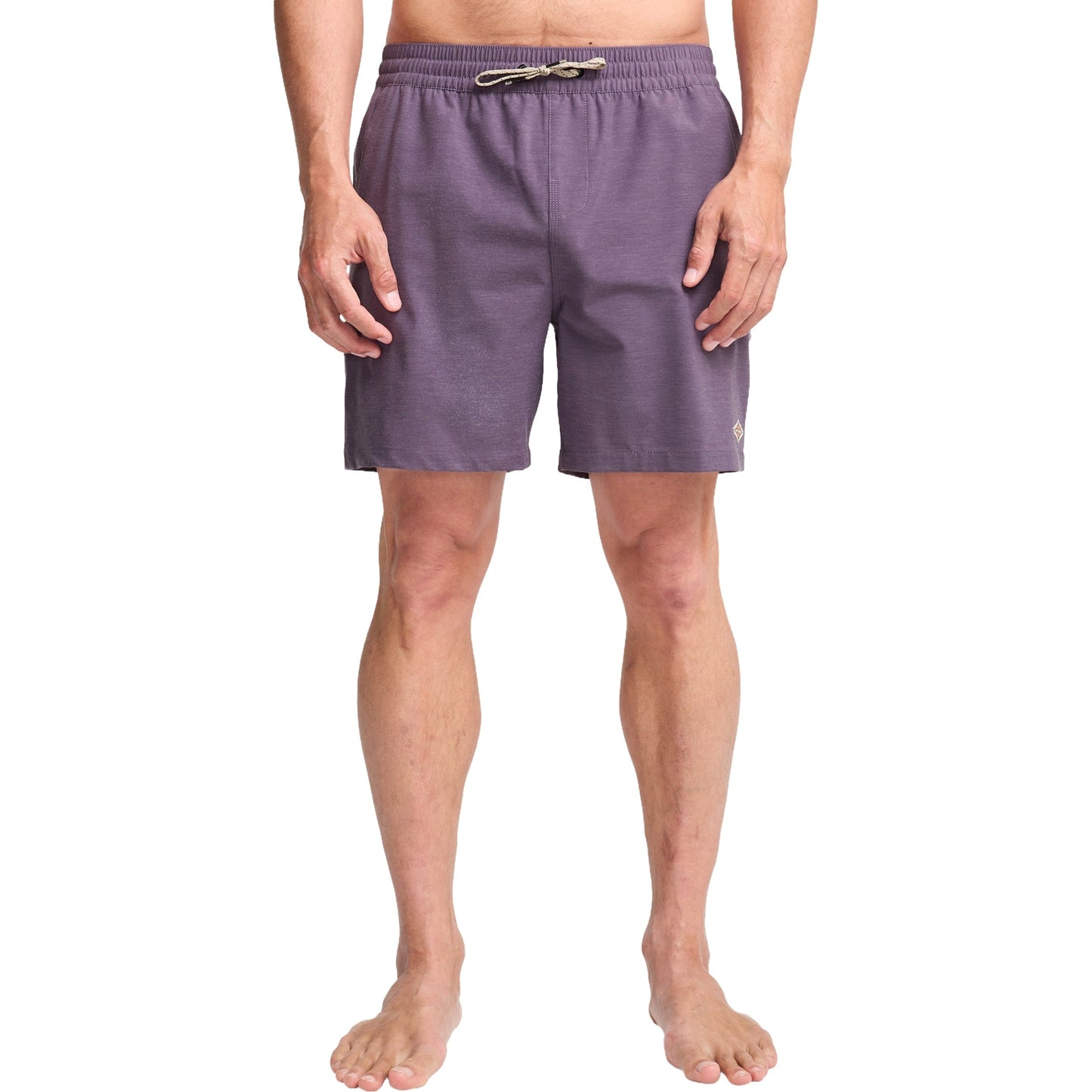 Billabong Mens Every Other Day Boardshorts
