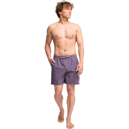 Billabong Mens Every Other Day Boardshorts